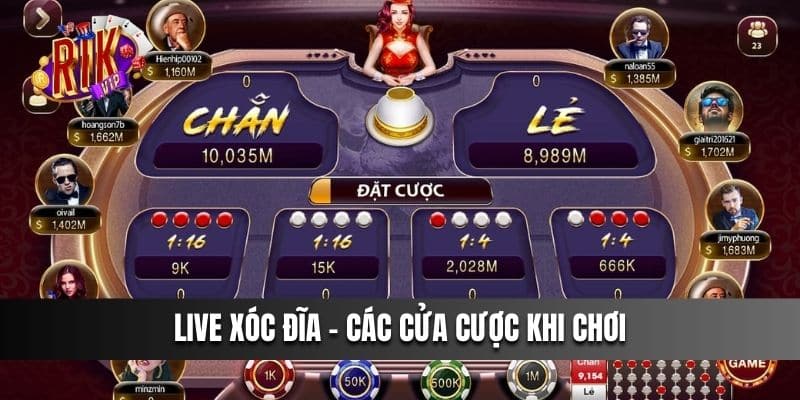 Live Xóc Đĩa - Các cửa cược khi chơi