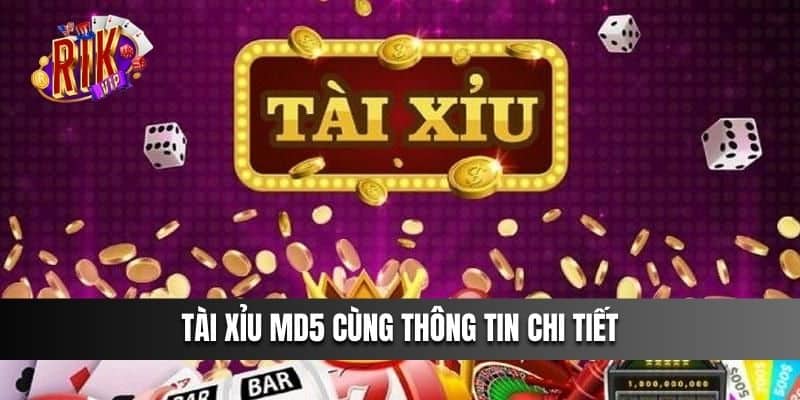 Tài xỉu MD5 cùng thông tin chi tiết